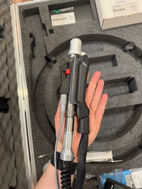 Cartessa Motus AX Moveo handpiece attachment